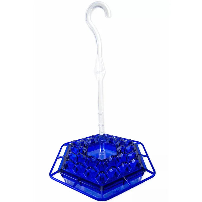 CILIFER® Sweety Hummingbird Feeder