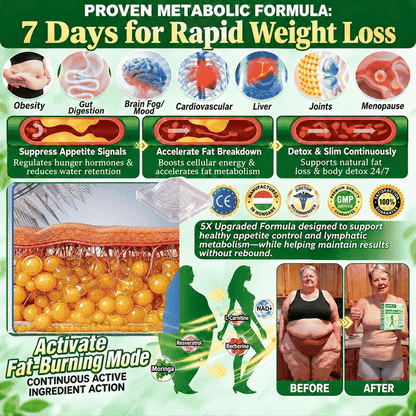 DAFEILA® 10-in-1 Nano Microneedle Patches with Berberine, Moringa & NAD+ — 7 Patches