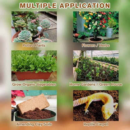 CILIFER® 🔥 🌱Premium Organic Coconut Coir Bricks for Plants🥥
