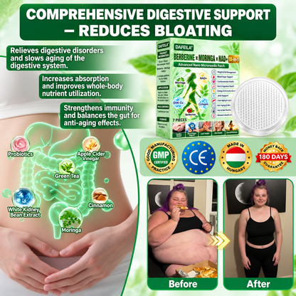 DAFEILA® 10-in-1 Nano Microneedle Patches with Berberine, Moringa & NAD+ — 7 Patches