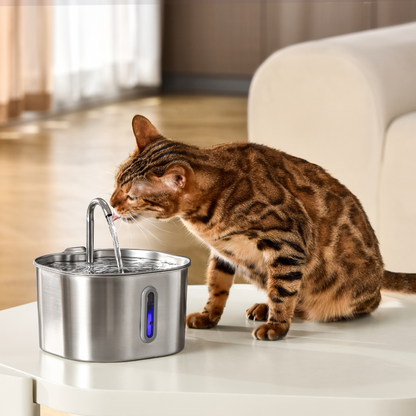 CILIFER® 2.2L Fountain 2–month Kit