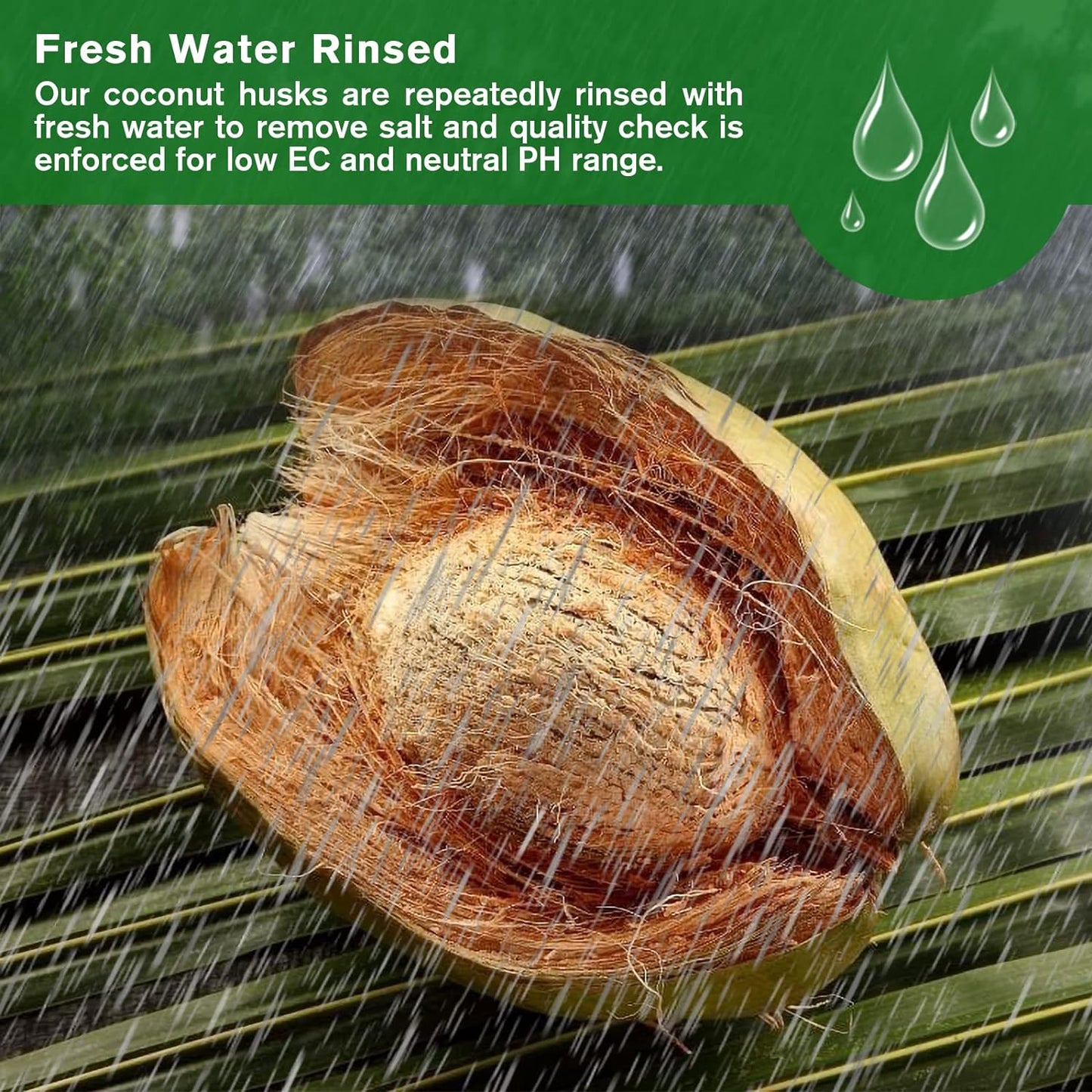 CILIFER® 🔥 🌱Premium Organic Coconut Coir Bricks for Plants🥥