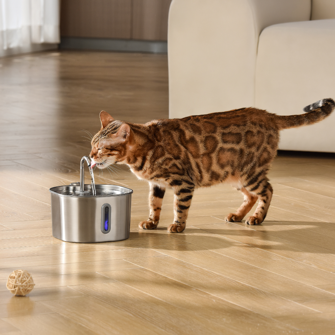 CILIFER® 2.2L Fountain 2–month Kit