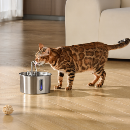 CILIFER® 2.2L Fountain 2–month Kit
