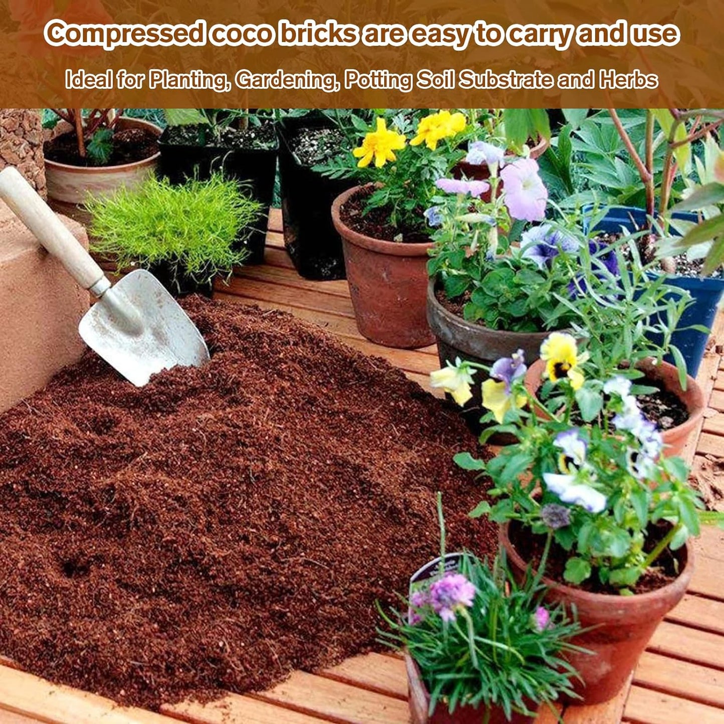 CILIFER® 🔥 🌱Premium Organic Coconut Coir Bricks for Plants🥥