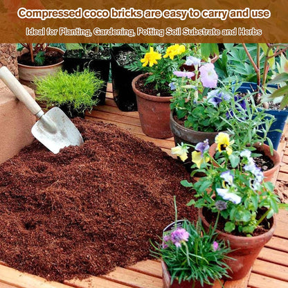 CILIFER® 🔥 🌱Premium Organic Coconut Coir Bricks for Plants🥥