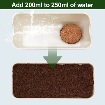 CILIFER® 🔥 🌱Premium Organic Coconut Coir Bricks for Plants🥥