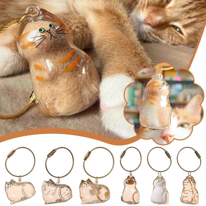 CILIFER® 🐾Pet Hair Memorial Capsule Keychain