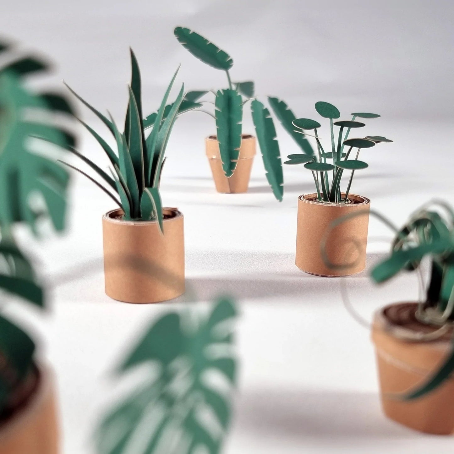 🪴✨Cilifer® Easy DIY Paper Plants Kit | Guided Lines & Instructions Included