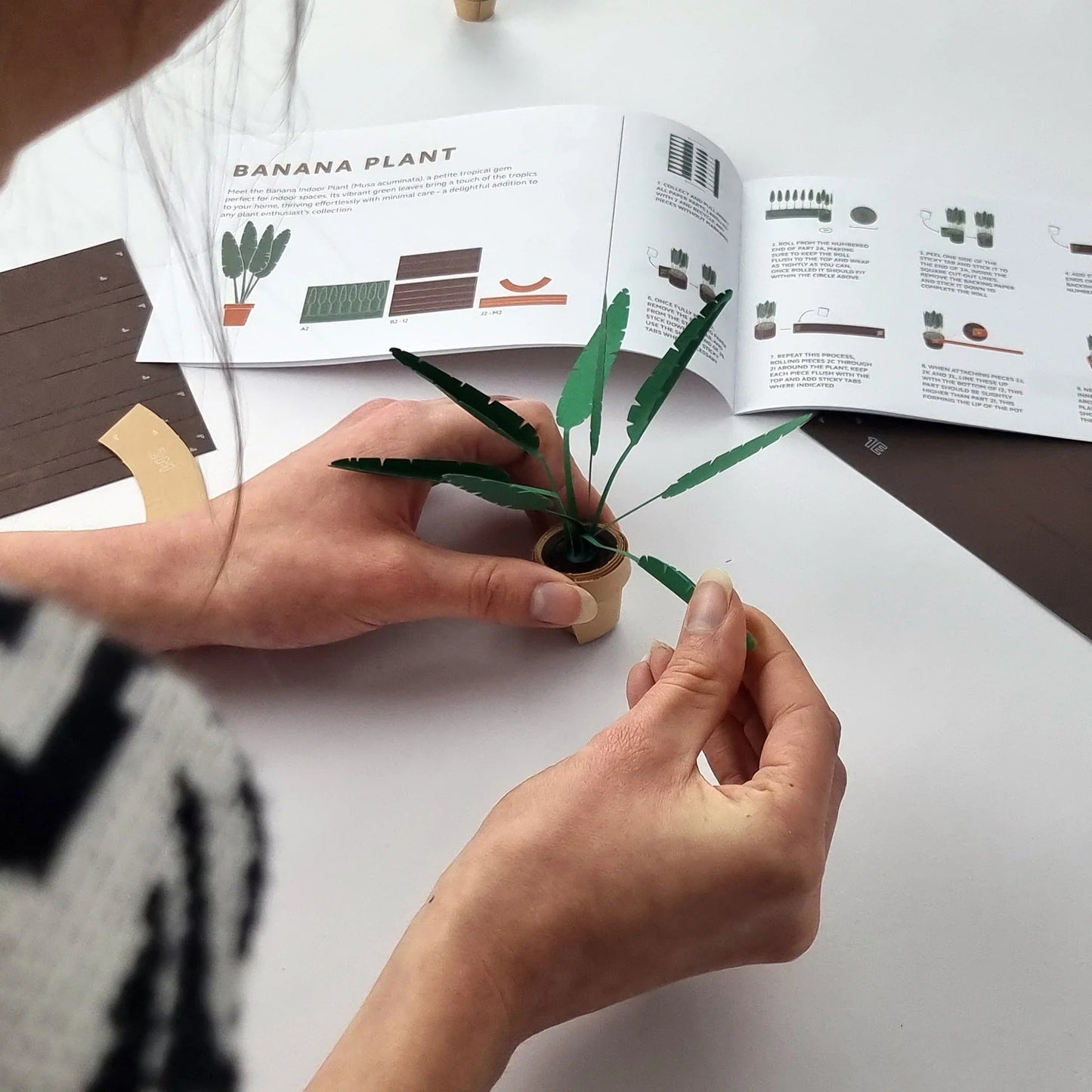 🪴✨Cilifer® Easy DIY Paper Plants Kit | Guided Lines & Instructions Included