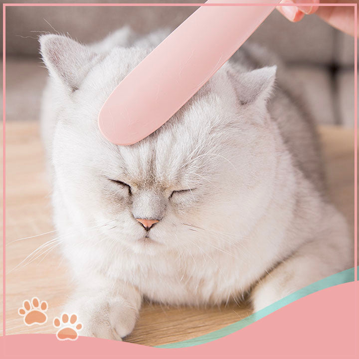 Cat Tongue Massage Comb