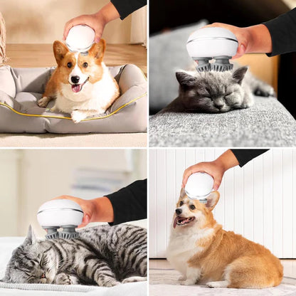 Pet massager