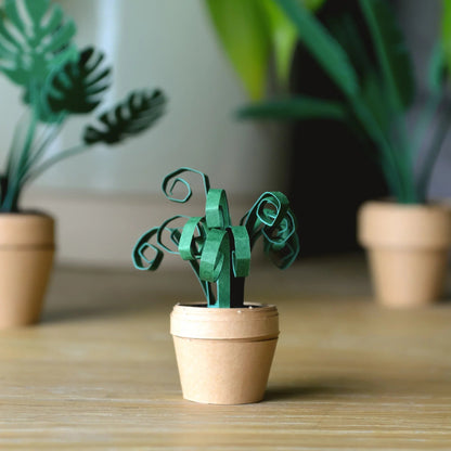 🪴✨Cilifer® Easy DIY Paper Plants Kit | Guided Lines & Instructions Included