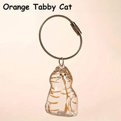 CILIFER® 🐾Pet Hair Memorial Capsule Keychain