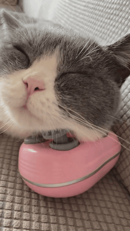Pet massager