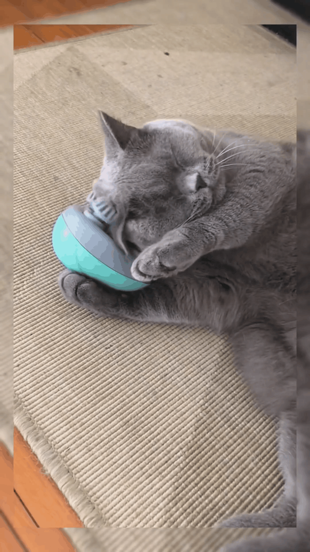 Pet massager