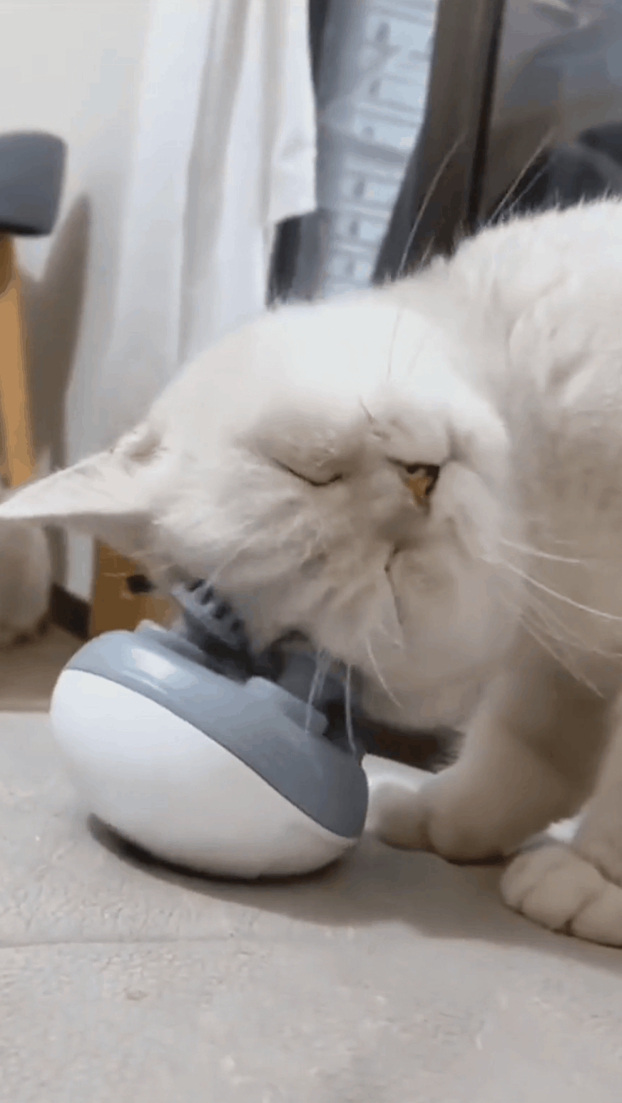 Pet massager