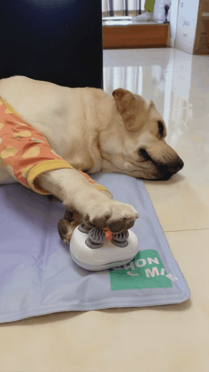 Pet massager