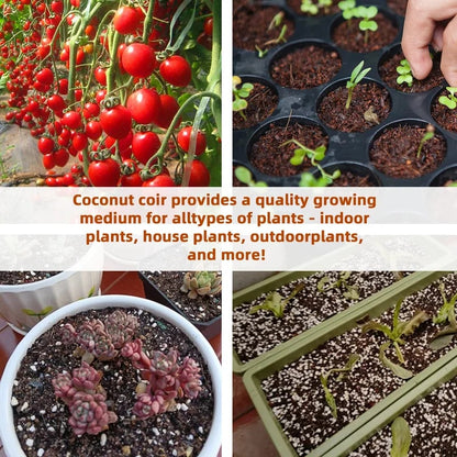 CILIFER® 🔥 🌱Premium Organic Coconut Coir Bricks for Plants🥥