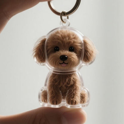 CILIFER® 🐾Pet Hair Memorial Capsule Keychain