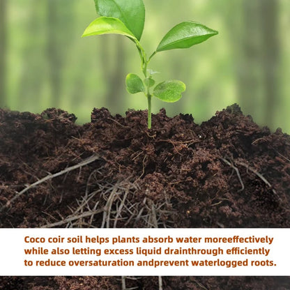 CILIFER® 🔥 🌱Premium Organic Coconut Coir Bricks for Plants🥥