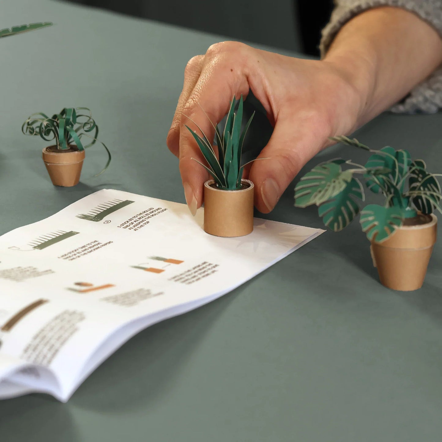 🪴✨Cilifer® Easy DIY Paper Plants Kit | Guided Lines & Instructions Included