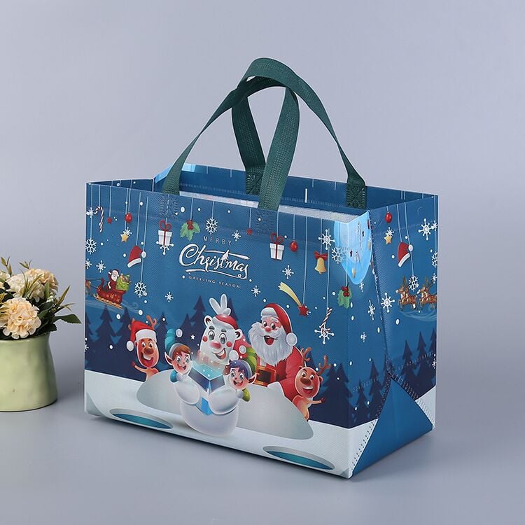 🎁Cilifer® Christmas Gift Bags