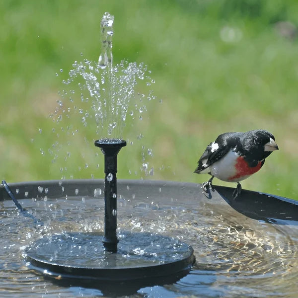 CILIFER® ⏳Time-Limited Special⏰Compact Solar Bird Fountain Pump – Keep Your Garden Alive! 🐦️