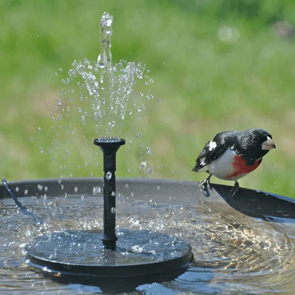 CILIFER® ⏳Time-Limited Special⏰Compact Solar Bird Fountain Pump – Keep Your Garden Alive! 🐦️